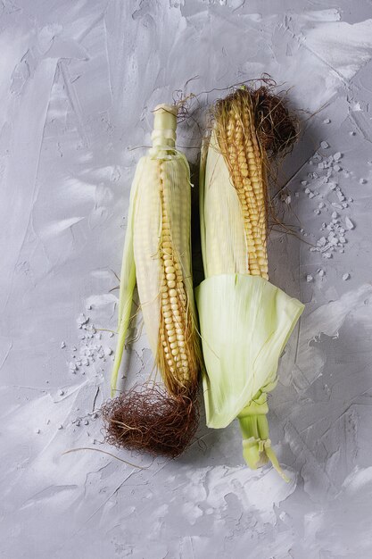 Young raw corn cobs