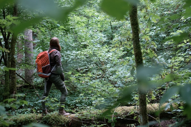 Young redhead long hair woman travels in summer cloudy forest