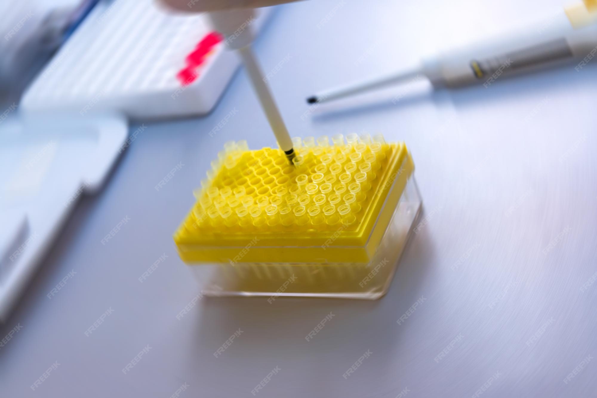 Premium Photo Young researcher using laboratory sampler scientist analyzing in a lab