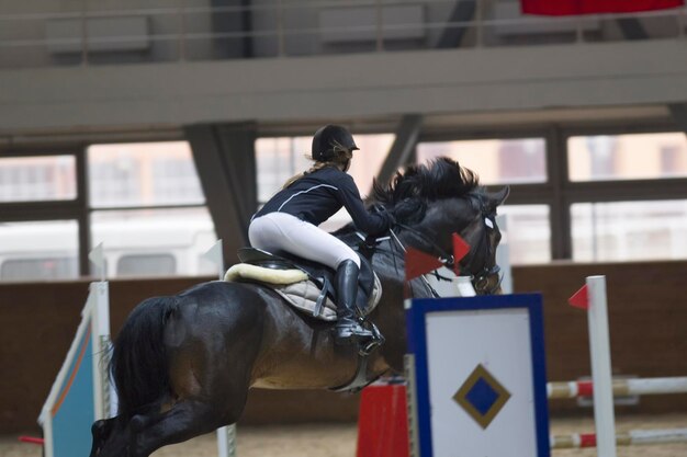 Photo young rider on the stallion jumping throw the hurdle