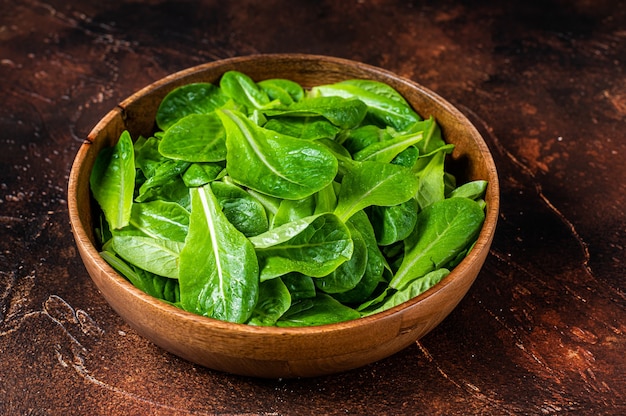 Young romain green salad leaves in wooden plate