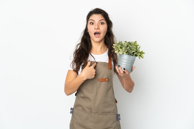 Giovane ragazza russa del giardiniere che tiene una pianta isolata con l'espressione facciale di sorpresa