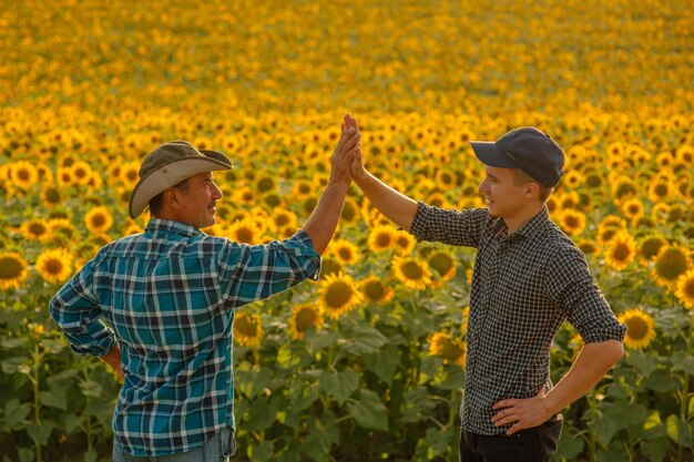 Young and senior farmers makes the mark high five in a field of sunflower success in agribusiness