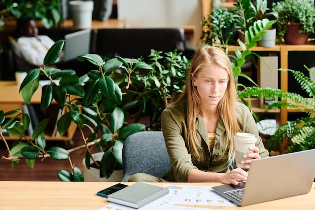 Young serious blond businesswoman with cup of coffee networking by desk