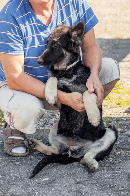 Un giovane pastore è seduto accanto al suo padrone uomo con un cane