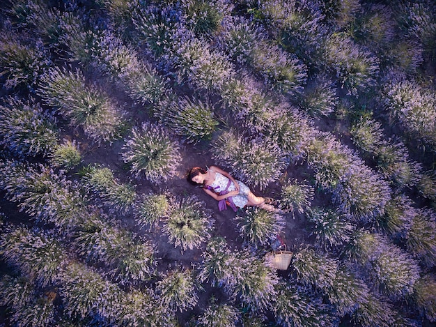 Young slim fair-skinned girl brunette beautiful lies in lavender field. Top view.