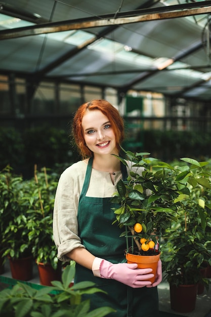 Young smiling lady in apron and pink gloves standing with little mandarin tree in pot and joyfully looking in camera in greenhouse