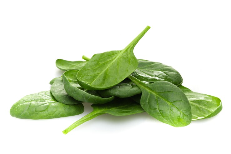 Photo young spinach leaves