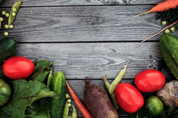 Young spring vegetables on wooden chalkboard from above