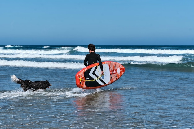 ボーダーコリー犬とパドルサーフボードを持って海に入る若いサーファー