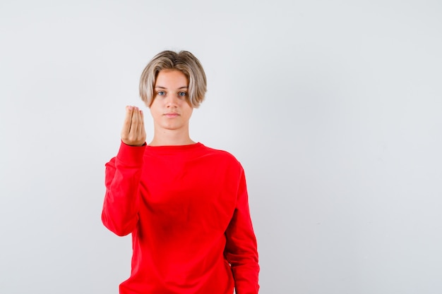 Young teen boy doing Italian gesture in red sweater and looking confident. front view.