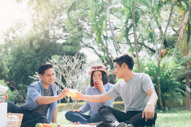 Young teen groups having fun picnic in park together.