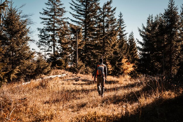 Young traveler hiking girl with backpacks hiking in mountains\
sunny landscape tourist traveler on background view mockup high\
tatras slovakia