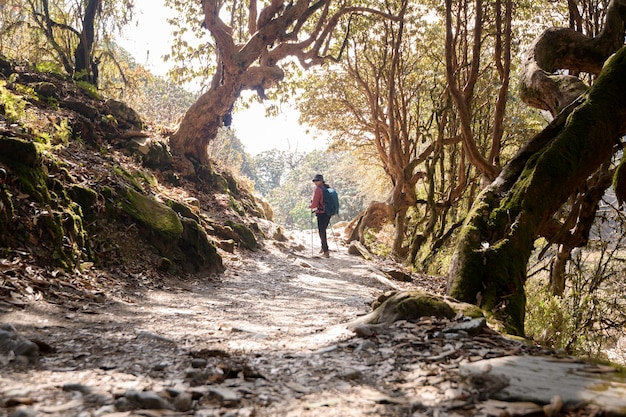 A young traveller trekking on forest trail Nepal