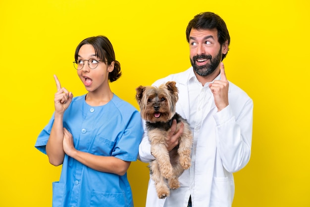 Young veterinarian couple with dog isolated on yellow background intending to realizes the solution while lifting a finger up
