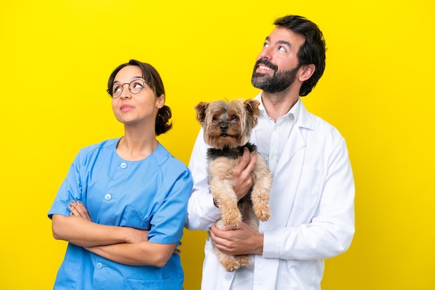 Young veterinarian couple with dog isolated on yellow background looking up while smiling