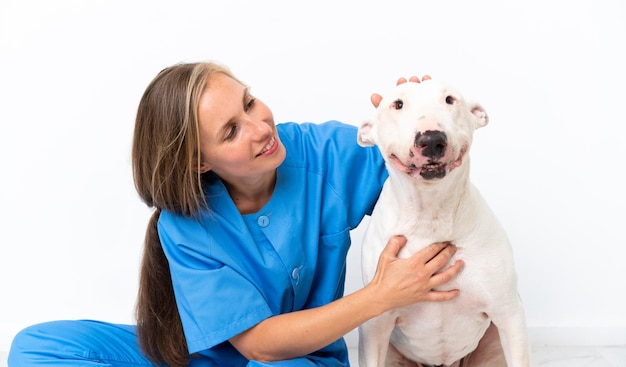 犬と若い獣医の英語の女性