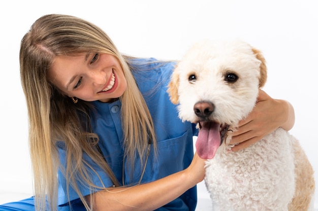 床に座っている犬と若い獣医の女性