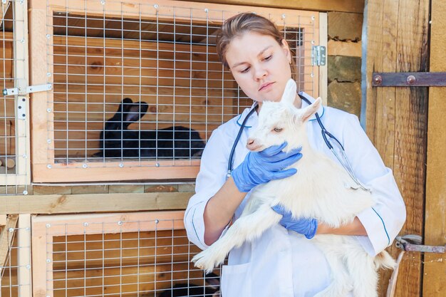 Young veterinarian woman with stethoscope holding and examining goat kid on ranch background young g