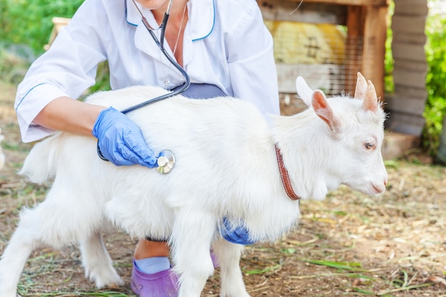 Photo young veterinarian woman with stethoscope holding and examining goat kid on ranch