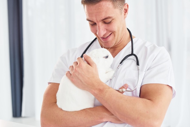 Foto il giovane veterinario è al chiuso con un piccolo coniglio concezione dell'assistenza sanitaria