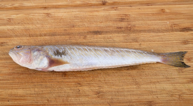 Photo young weever fish on wooden table