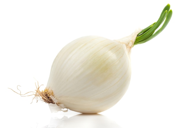 Young white onion on a white background