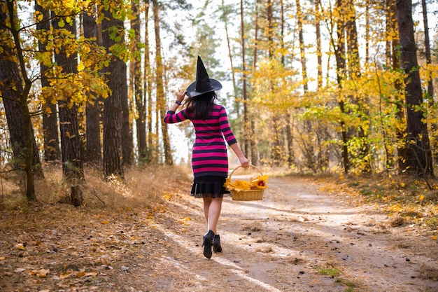 Giovane strega che cammina nelle foreste autunnali con un cesto. giornata di sole estivo