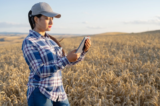 Young woman agronomist checks growth of wheat in field farmer takes notes on tablet agro business co...