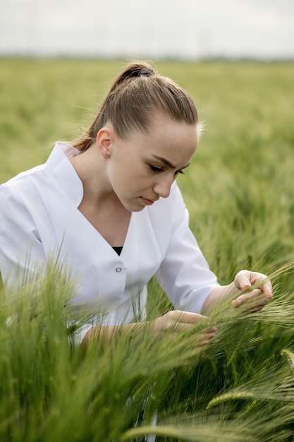 Young woman agronomist in white coat squatting in green wheat field and checking crop quality.