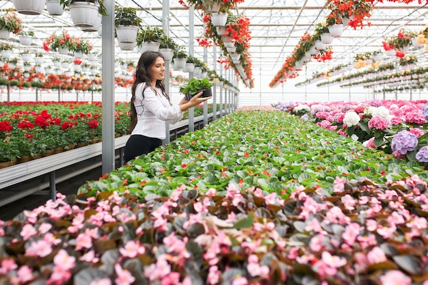 温室で花と鉢を配置する若い女性