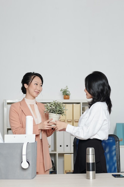 Young woman asking colleague to take care of her plant when leaving office after quitting job