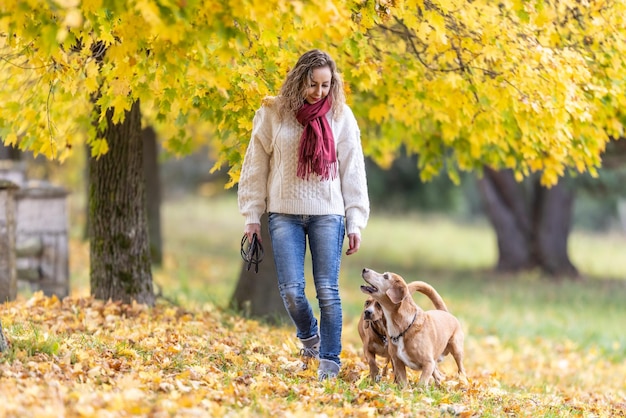 秋服を着た若い女性が公園で 2 匹の犬を散歩しています。