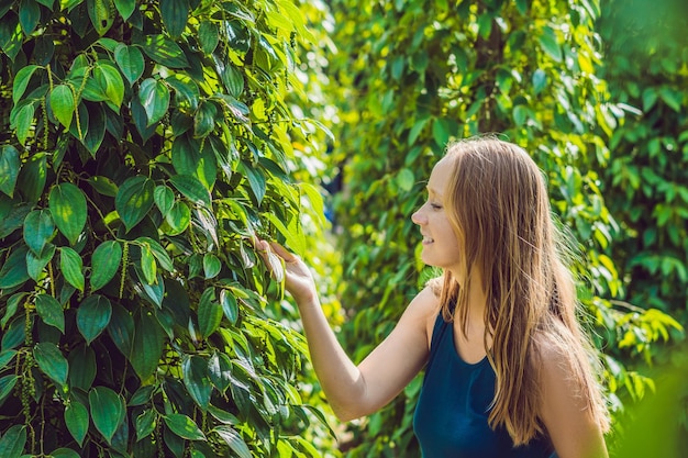 Young woman on a black pepper farm in Vietnam, Phu Quoc