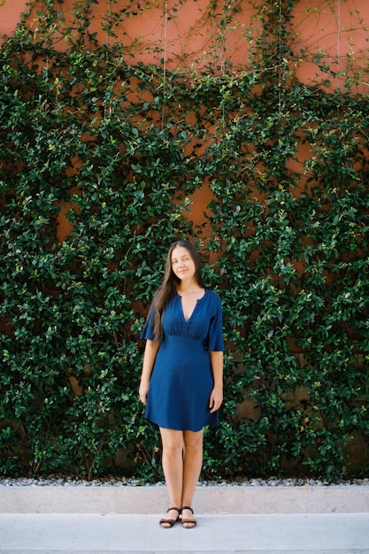 Photo young woman in a blue dress stands near a wall covered with green ivy