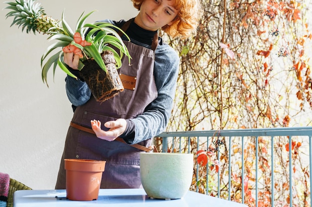 Photo young woman cares for pineapple plant in flowerpot