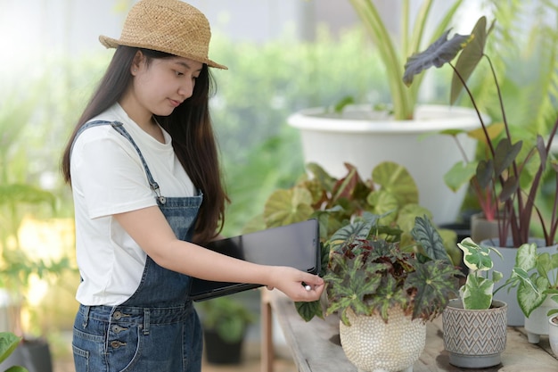 写真 温室中小企業で植樹や設備の植物を世話する若い女性