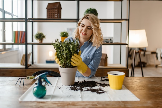 Young woman changes the soil in home plants