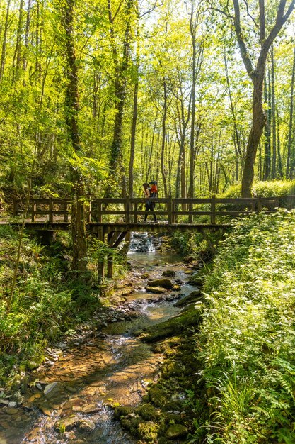 A young woman crossing a bridge in the Pagoeta park in Aia Guipuzcoa Basque Country