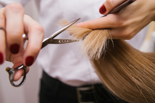 若い女性がはさみで髪を切る。プロのヘアケア製品。