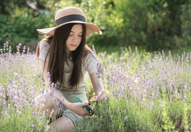 ラベンダーの束を切る若い女性