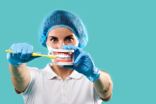 Young woman dentist holding a jaw cast and toothbrush and showing at camera how to brush teeth. Blue background