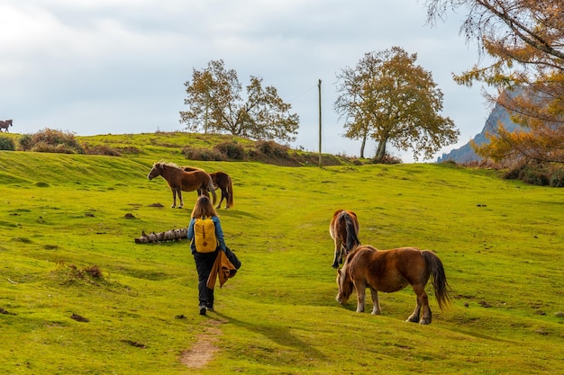 A young woman in the Erlaitz mountain with horses in freedom in the town of Irun, Gipuzkoa. Basque Country