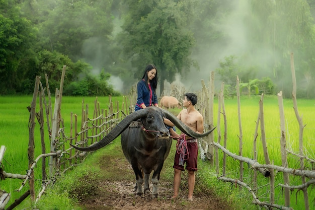 Young woman farmer in flower farm. agriculture organic small business farming