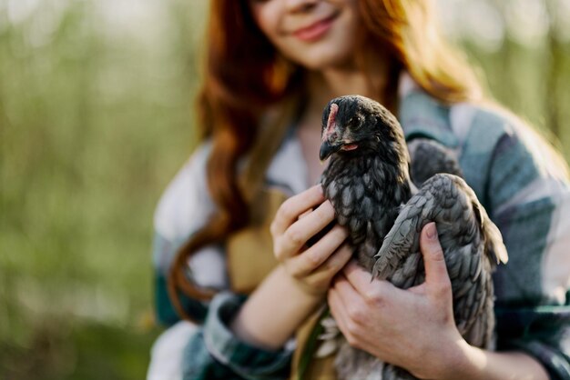 A young woman farmer shows the chicken closeup holding it up for inspection Organic farm and healthy birds