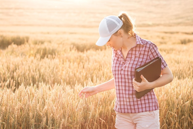 Young woman farmer works on a wheat field in the sun. Business woman plans her income in the field. Female agronomist with a tablet study the wheat crop in the agricultural field. Grain harvest.