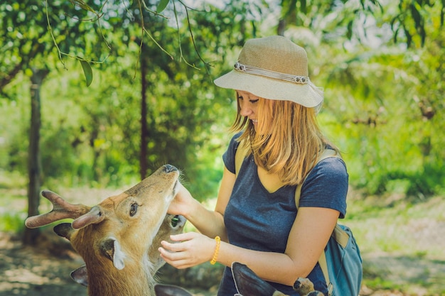 Young woman feeding beautiful deer from hands in a tropical Zoo.