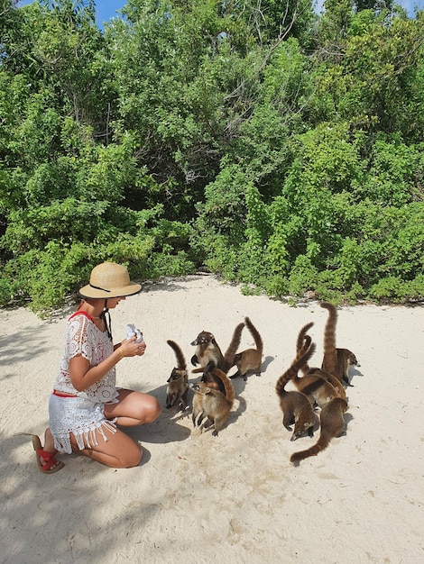 ハナグマに餌をやる若い女性