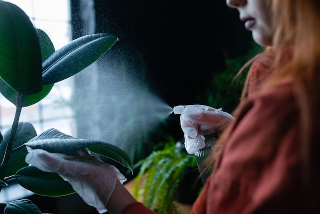 Foto giovane giardiniera o fiorista che innaffi un fiore di ficus