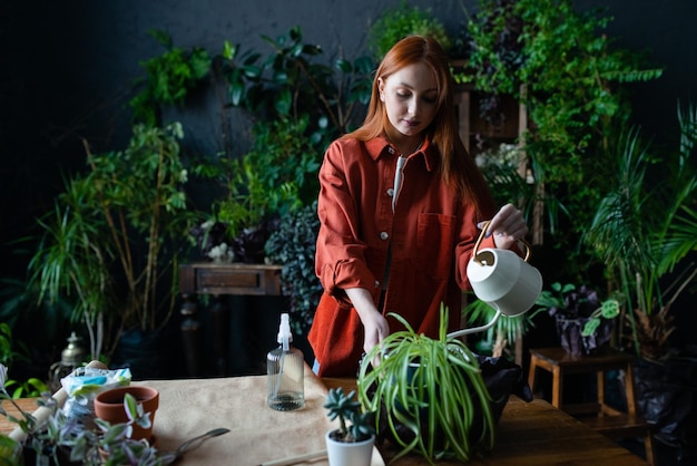 Photo young woman gardener or florist watering flower in greenhouse using watering can